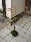 szk091028 001.01.jpg