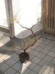 szk091028 017.01.jpg