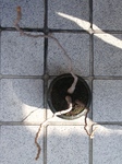 szk091104 015.01.jpg