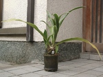 szk091106 001.01.jpg