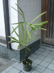 szk091107 022.01.jpg