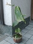 szk091107 024.01.jpg
