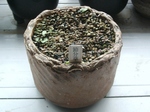 szk091110 001.01.jpg