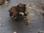szk091110 018.05.jpg