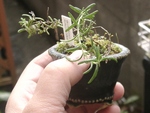 szk091118 028.01.jpg