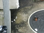 szk091123 001.01.jpg