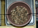szk091124 013.01.jpg