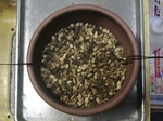 szk091124 016.01.jpg