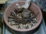szk091124 023.01.jpg
